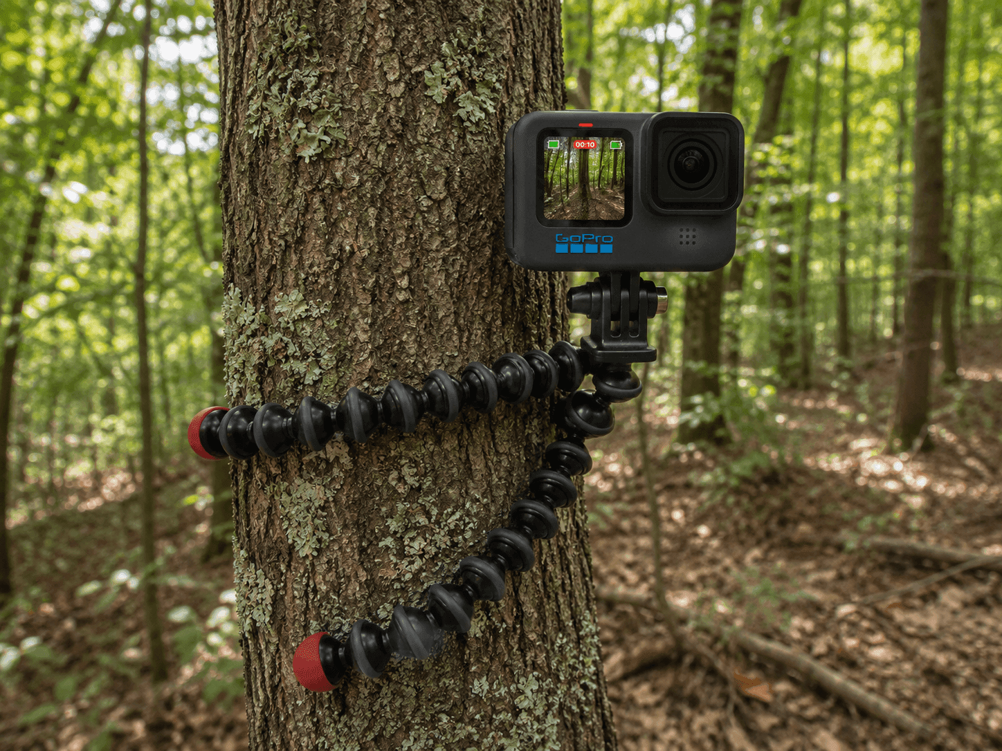 GoPro Hero 10 kamera za iznajmljivanje — rentanje.com